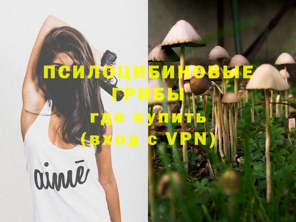 дмт Навашино