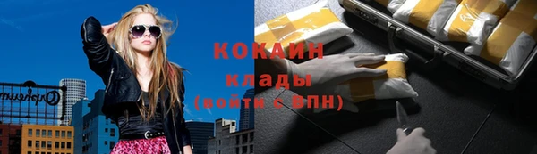 мдпв Михайловск