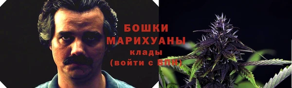 ГАЛЛЮЦИНОГЕННЫЕ ГРИБЫ Надым