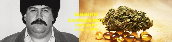 прущая мука Михайлов