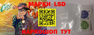 стафф Славгород