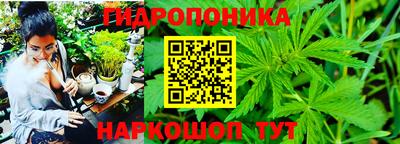 стафф Славгород