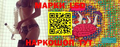 стафф Славгород